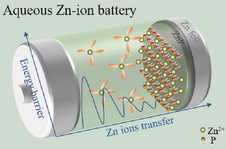 锌离子电池锌负极中锌磷合金诱导层降低锌离子转移能垒示意图
